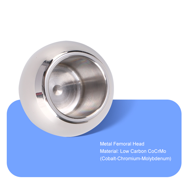 Metal Femoral Head10 Металлическая бедренная головка10