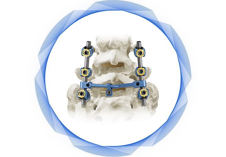 позвоночник