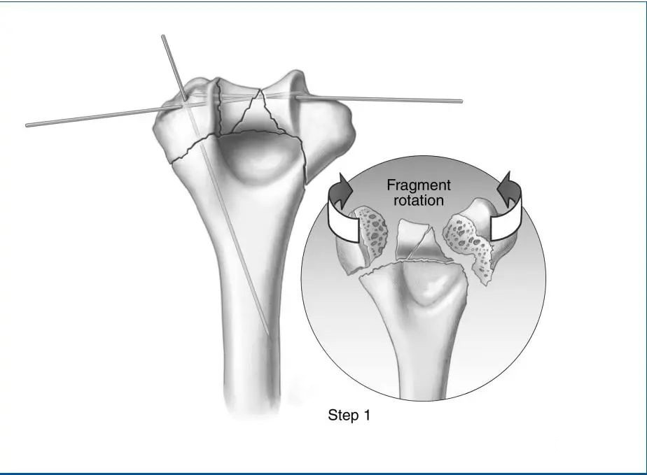 微信图片_20220812171716_副本