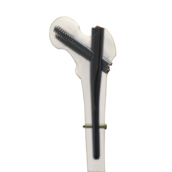 Лак для ногтей TriGen InterTAN