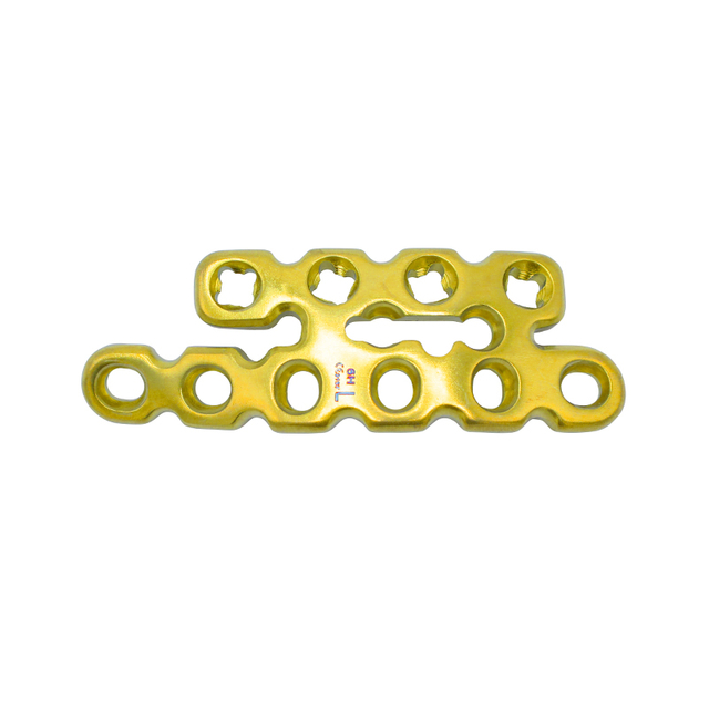 Задняя тазовая пластина