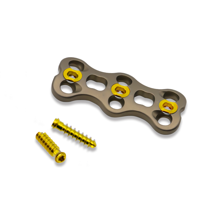 Передняя шейная пластина