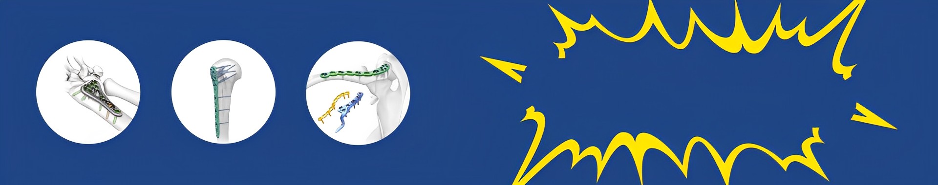 ea947512cd6641919e6eb3cf4e25575