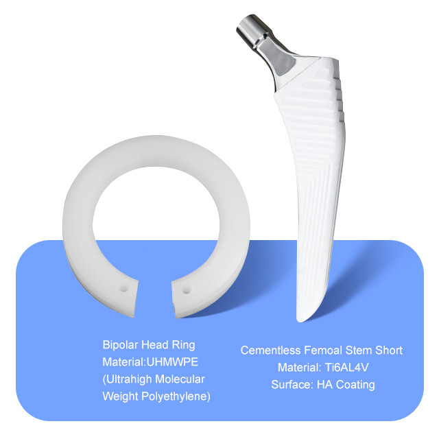 Биполярное головное кольцо