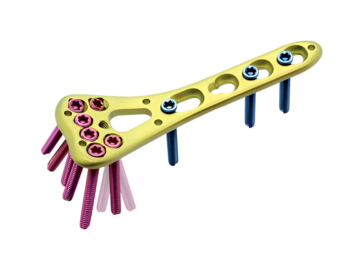 урожай_1666318371427