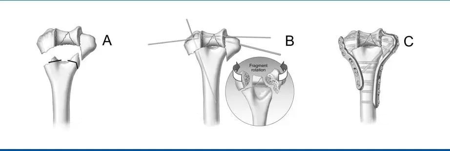 微信图片_20220812172255_副本