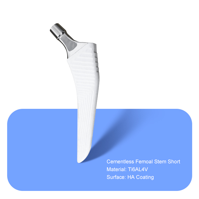 Необработанный шток женского роста короткий