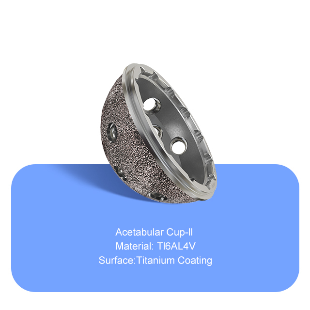 Втойбулярная чашка-ll