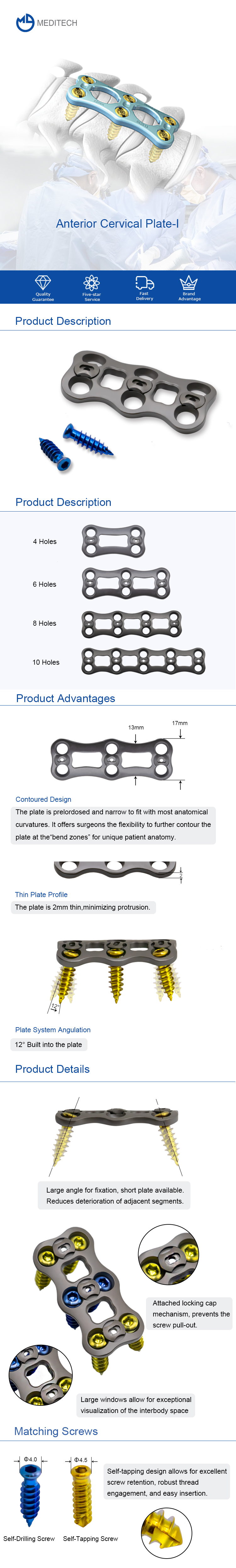 Передняя шейная плита-я