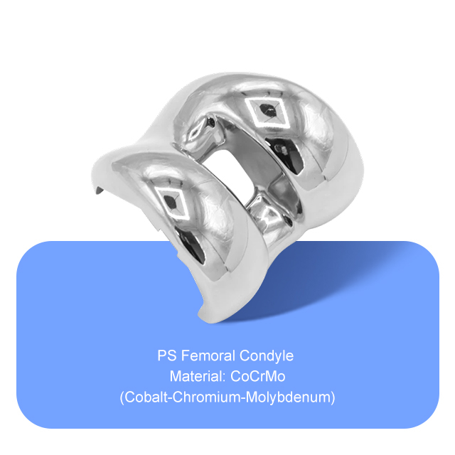 PS бедренная мыщелка