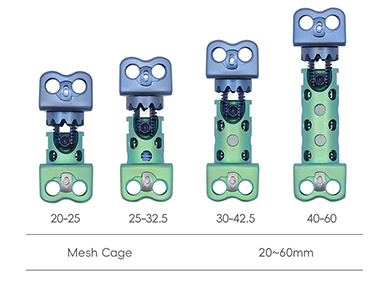 Спинальная хирургия Cage-5