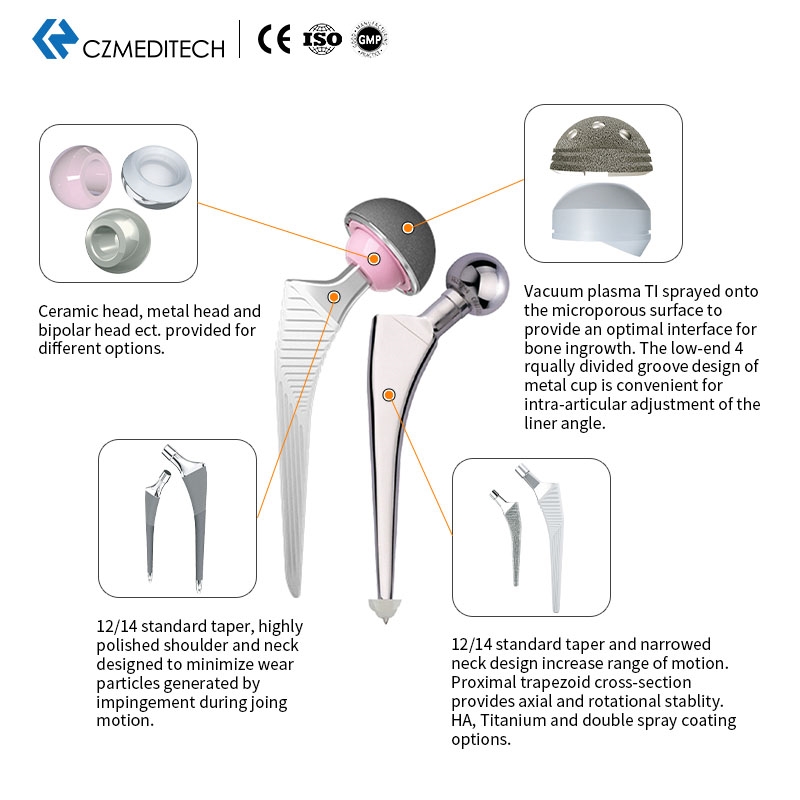 髋关节主图2&nbsp;– 2