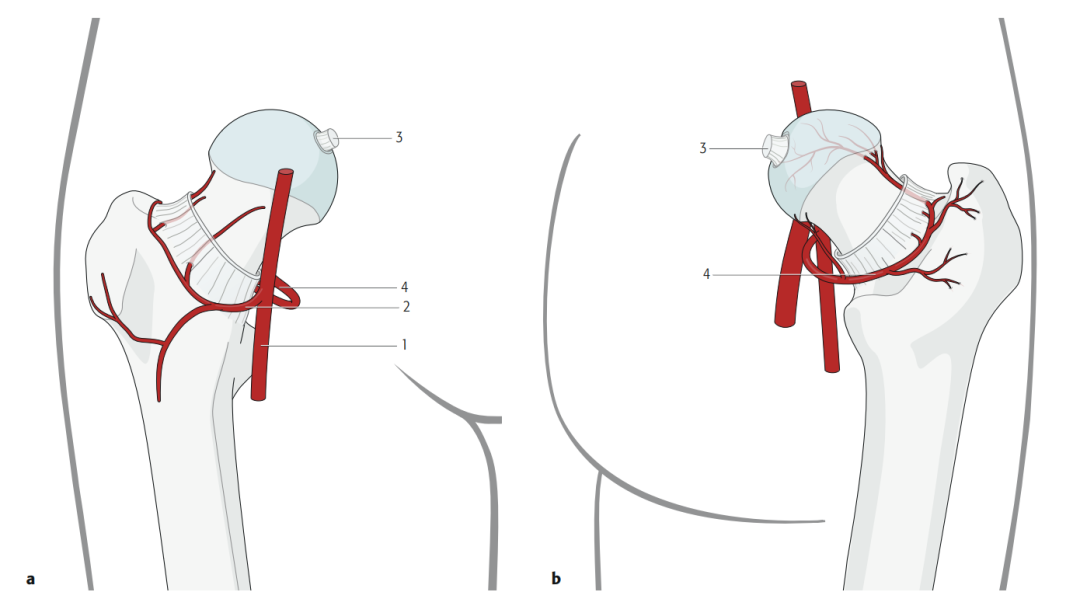 微信图片_20221205172646