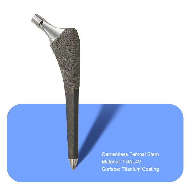 Без цементного стебля женского покрытия (титановое покрытие)