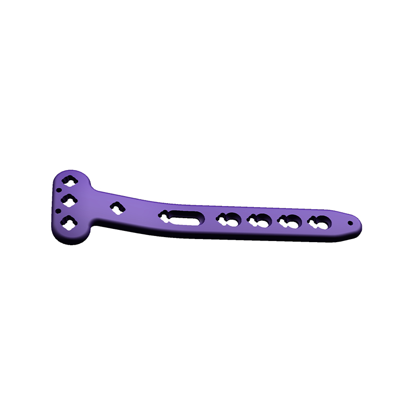 VA Distal Bipia Bocking T-Plate