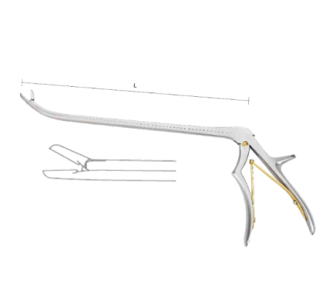 Сперлинг Ронжер (Арка)