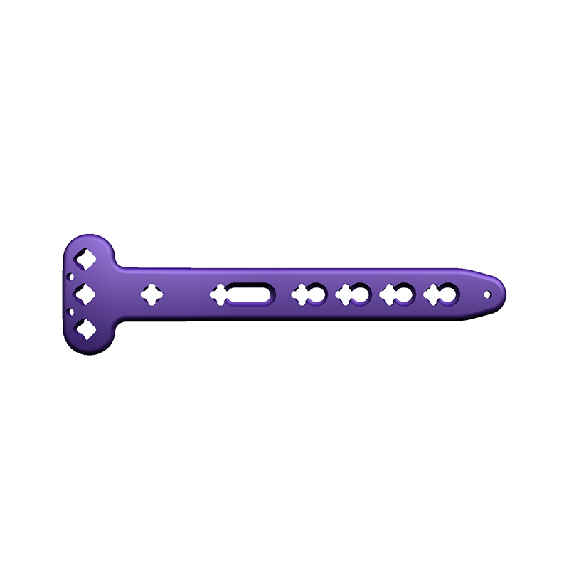 VA Distal Bipia Bocking T-Plate