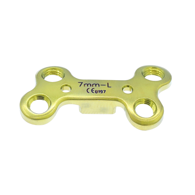 Записывающая тарелка в форме бабочки MT