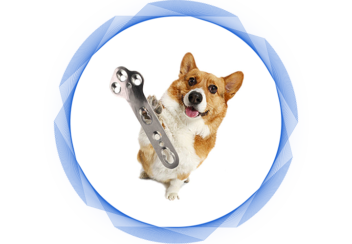 Ветеринарный ортопедический