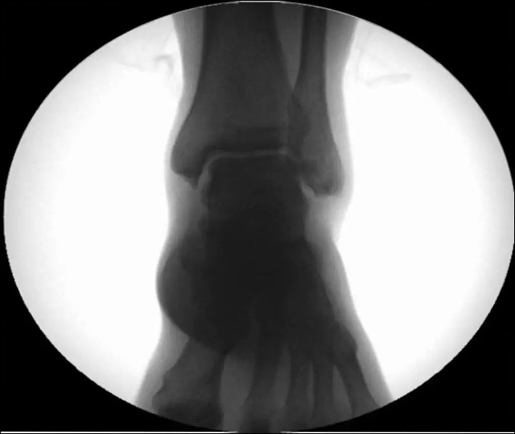 微信图片_20221208100220