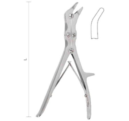 Эхлин Костяной Ронжер