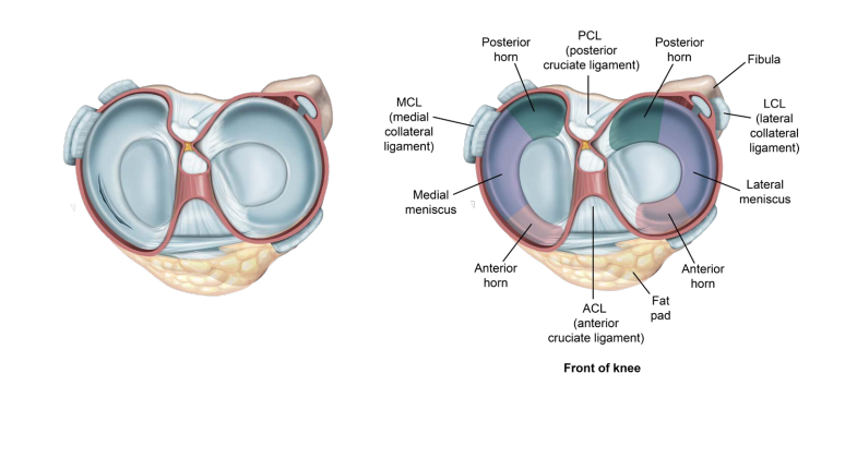 Ремонт мениска