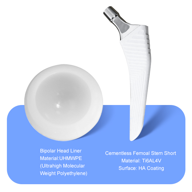Биполярная головка