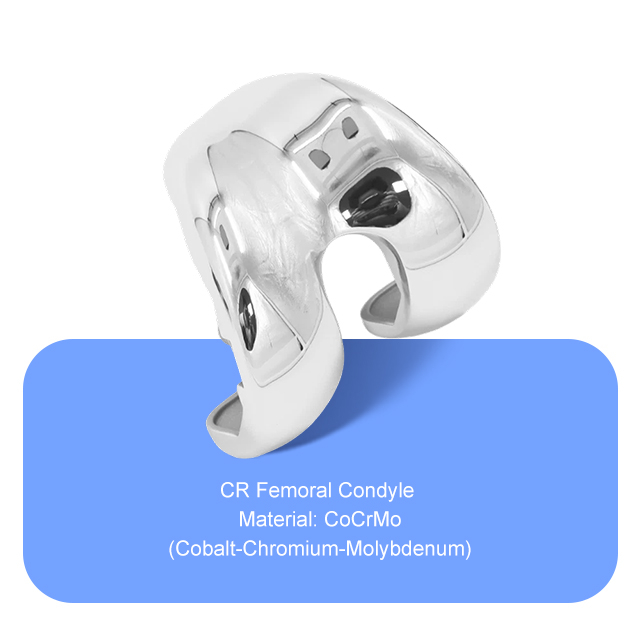 CR бедренной мыщел